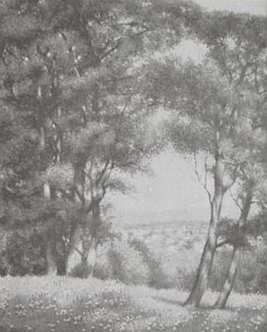 V065 - Automne (les acacias) (1921)