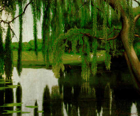 V038 - Le saule (1914)