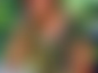 Roseana Murray divulga primeira poesia após acidente