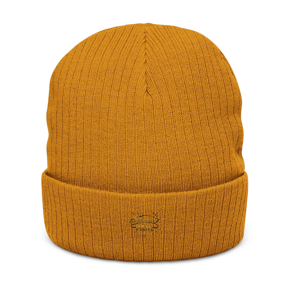 Thumbnail: Embroidered 'Shared Pain' Ribbed Knit Beanie — Warm Black Cuffed Hat