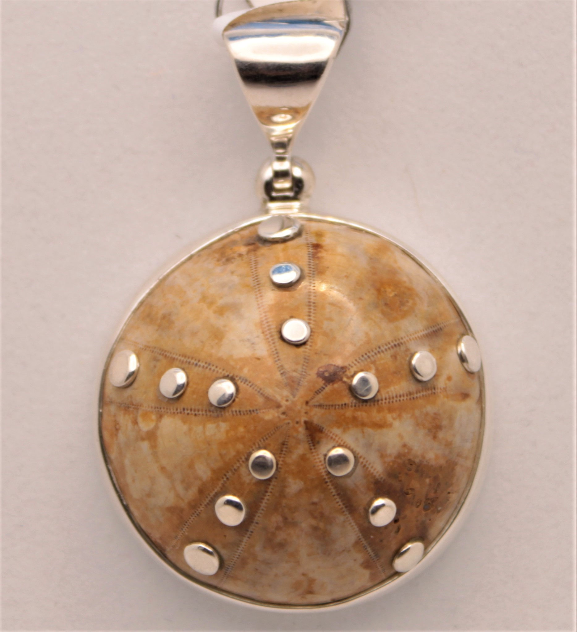 Fossilized Coral Pendant