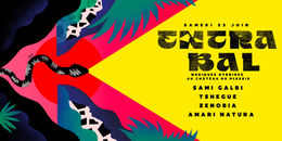 22 JUIN / EXTRA BAL #1 - MUSIQUES HYBRIDES AU PLESSIS      