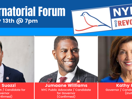 New York Progressive Action Network Governor's Candidate Forum Virtual Town Hall