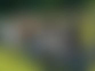 Black Lives Matter - Rally in Marlborough, NY