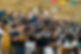 DSCF7060.jpg
