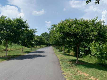 My Three Favorite Outdoor Spots in Greenville to Enjoy This Spring and Summer