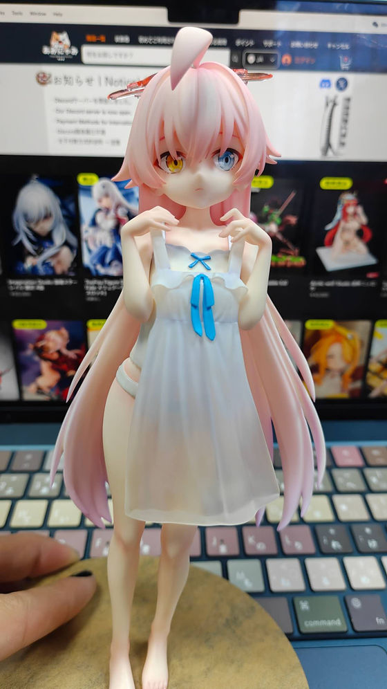 ZTR Studio ブルーアーカイブ 小鳥遊 ホシノ | あみにゃみ
