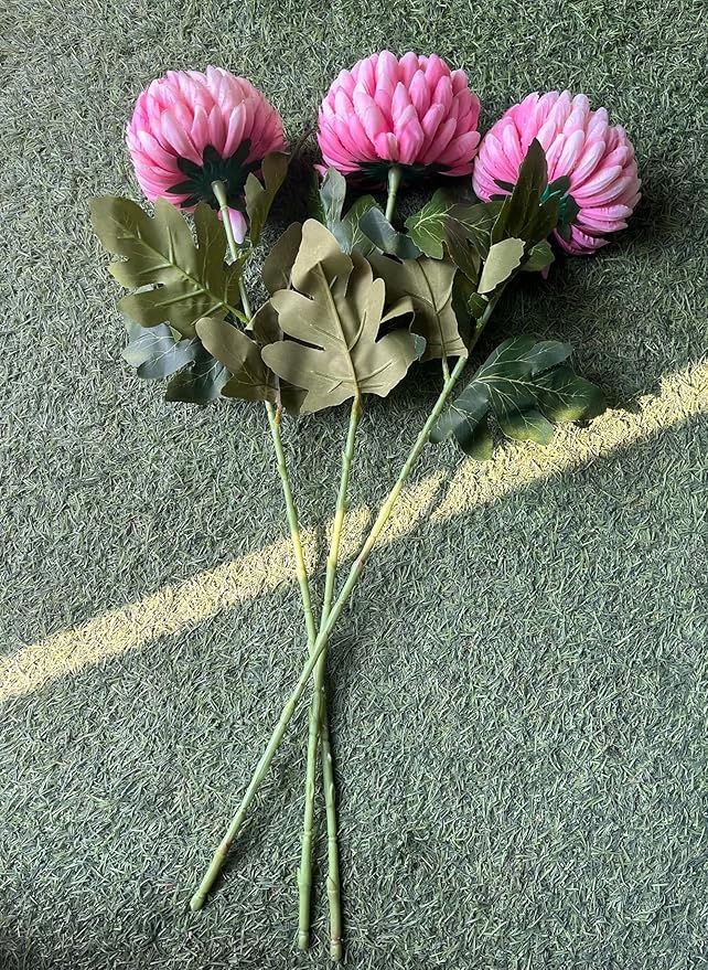 Thumbnail: crysanthemum flower