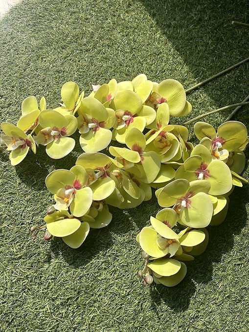 Thumbnail: Indus decor real touch Phalaenopsis orchid flower 