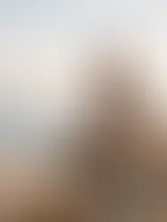 Warum Business Coaching nicht mehr reicht