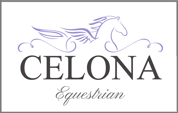 Home Page Logo Celona Horse riding lessons Bargo NSW