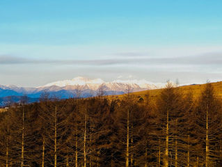 本年も御愛顧賜り、誠にありがとうございました