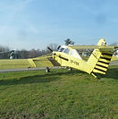 P1510528 (Копировать).JPG
