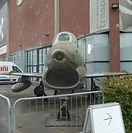 P1510661 (Копировать).JPG