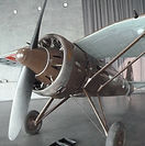 P1510062 (Копировать)_edited.jpg