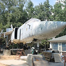 81.jpg