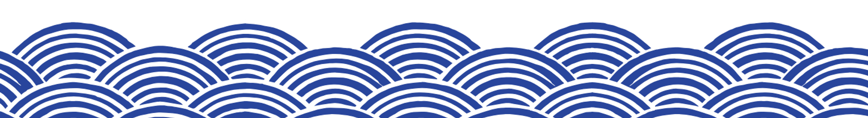 Sasa Website Footer.png
