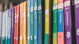 Nonprofit Setup Made Easy: Expert Guidance and Management