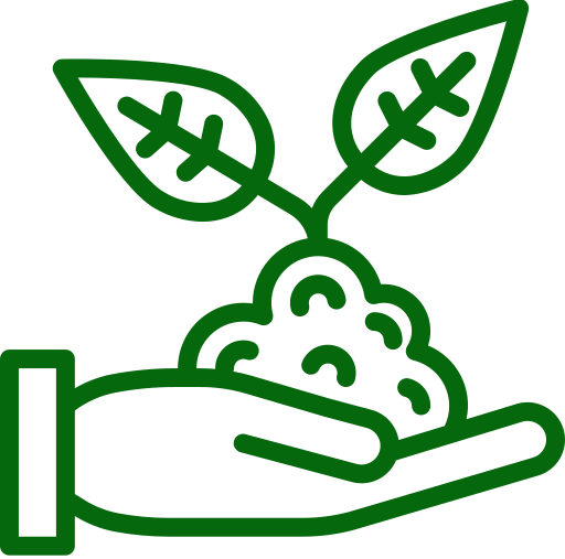 plant.png