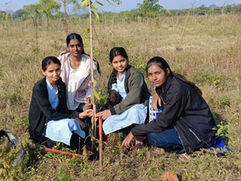 Sunday for Sustainability