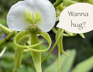 Juliana McCloud - Photography - First.jpg