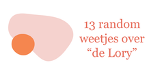 Get to know me - 13 weetjes over "de Lory"