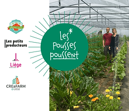Lancement-Les-Pousses-Poussent-1024x576.png