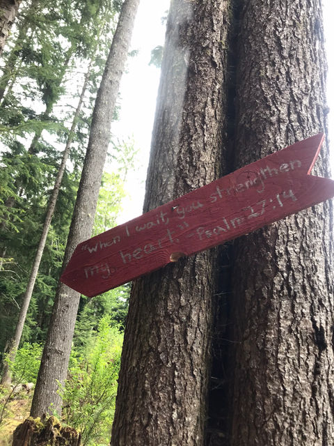 When I Wait, You Strengthen My Heart. - Psalm 12:14