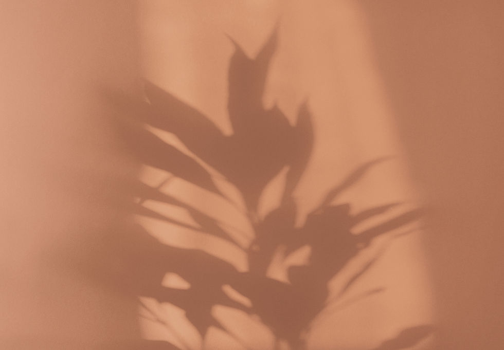 Orange Shadow_edited.jpg