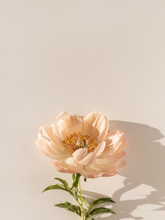 Love & Marketing: Valentine’s Day Campaigns That Stole Our Hearts