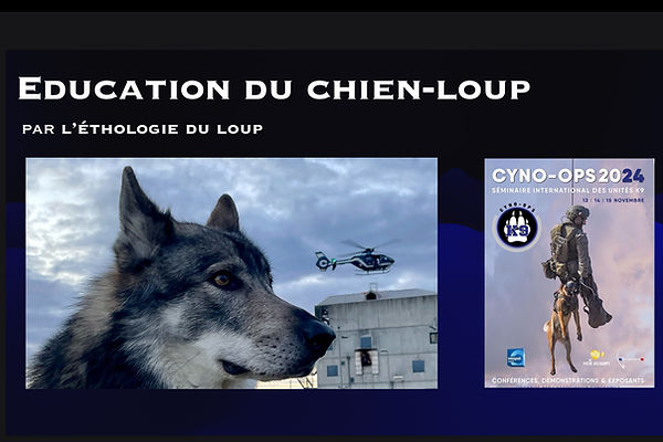 conférences