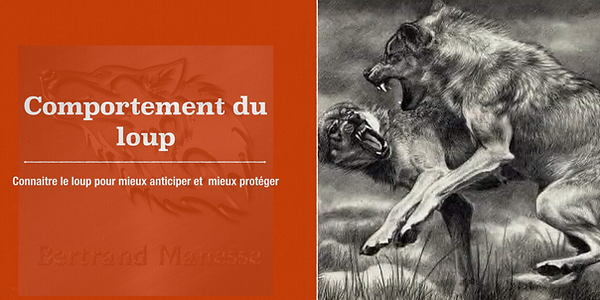 conférences