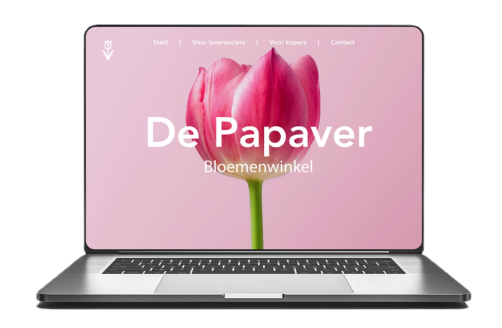 Healthcare websites and design