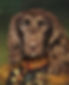 Chase Cropped.jpg