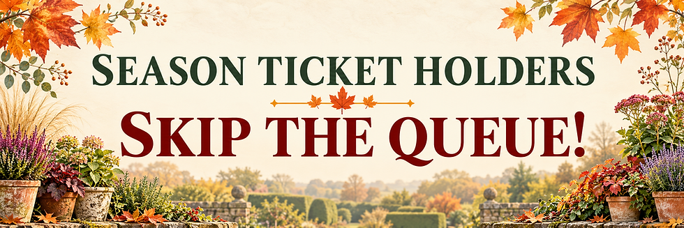 Our Autumn Plant Fair is THIS Sunday!