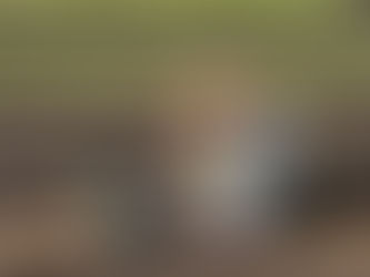 How Wye Grow Began: From Family Roots to Flower Rows