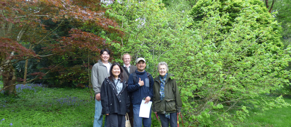 Chollipo Arboretum in South Korea to visit Hergest Croft