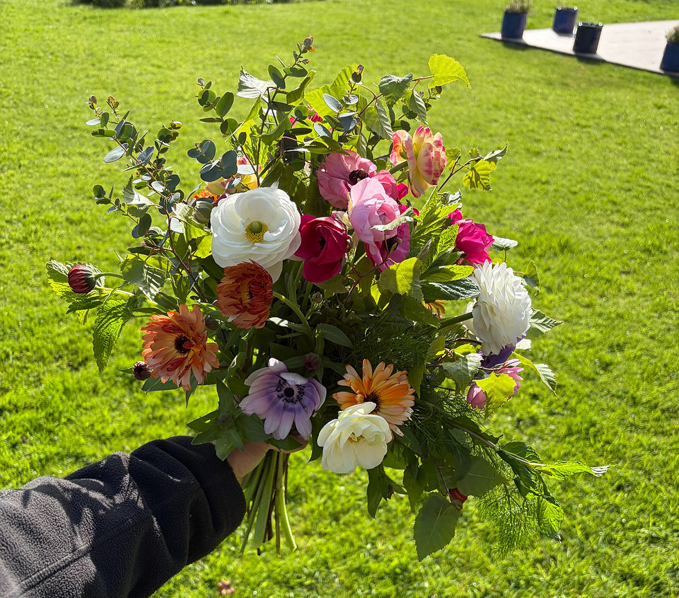 Spring Bouquet grown in Herefordshire
