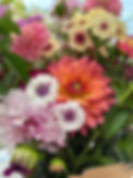 IMG_3424.jpeg