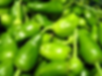 Pimientos de Padron