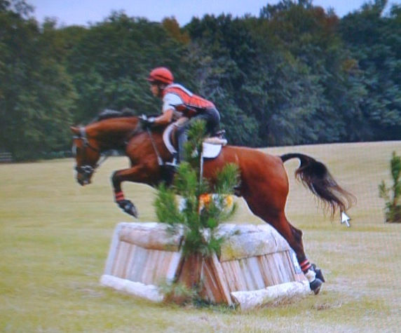 Thumbnail: Horse Training w/ basic board