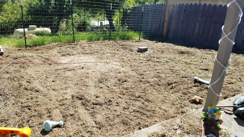 Turning the Backyard into a Desert Oasis