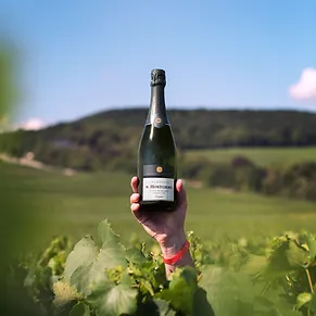 Un Salon dans les Vignes !