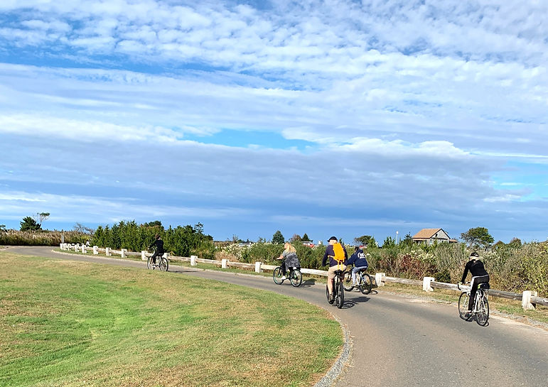 House members bike the beach road under a blue sky