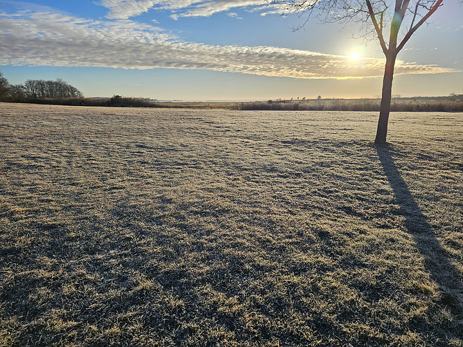 the winter frost on the field close to sunrise.jpg