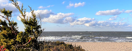 The Trail to the Beach_edited.jpg