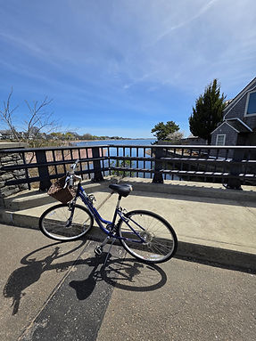 Bike on bridge