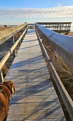 Cole on the boardwalk at Hammonasset State Park
