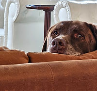 Cole looking over his shoulder_edited.jpg