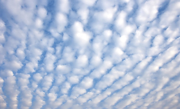 1200-503311299-altocumulus-undulatus.jpg